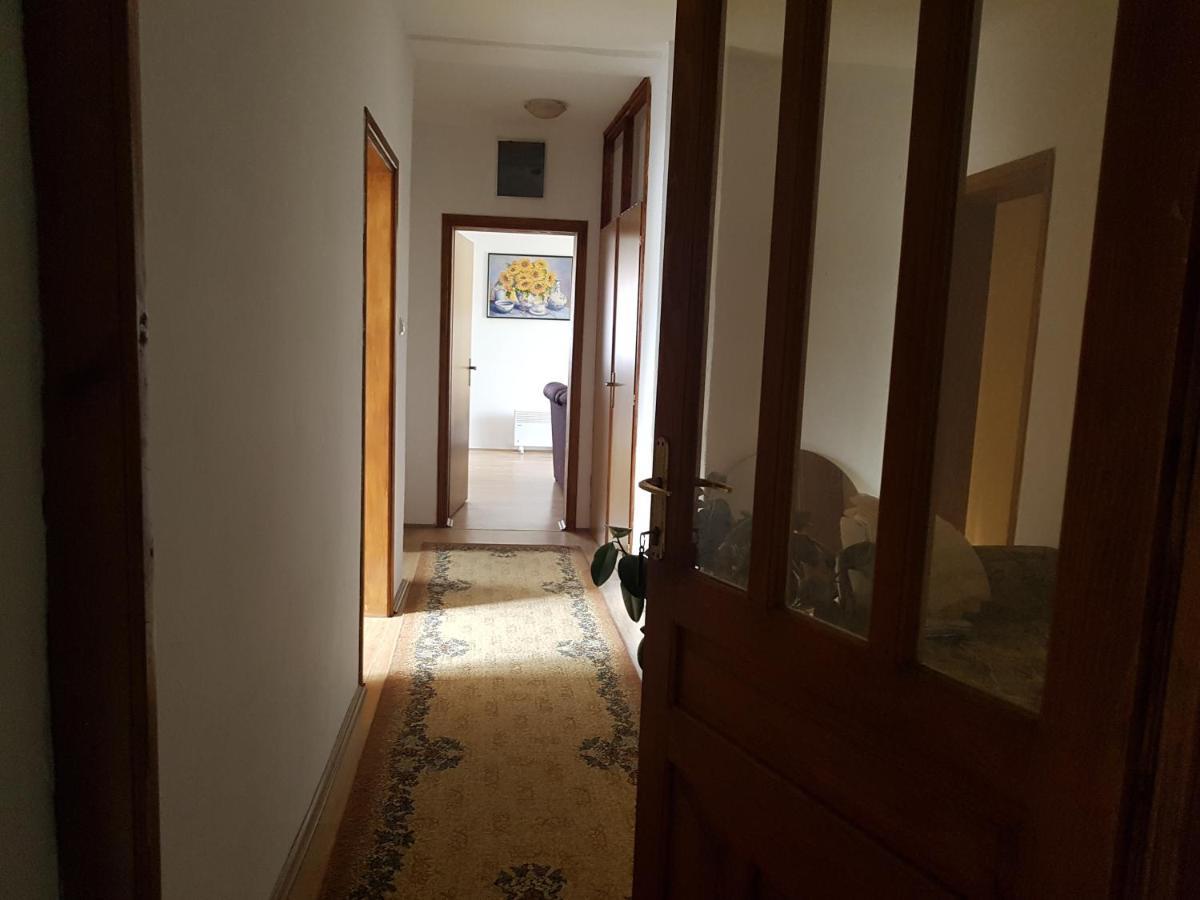 Apartman Jovanovic Apartment Bajina Basta Exterior photo